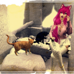 Die Katze aus dem Sack?! – es gibt NEWS